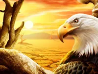 image Eagle Slide