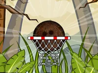image Coconut Basketball